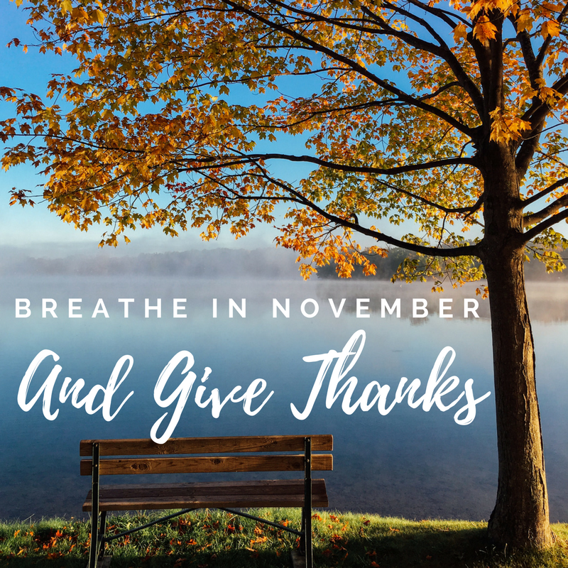 Breathe in November and Give Thanks - Crystal Twaddell